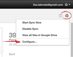 How to configure Paperpile's Google Drive sync