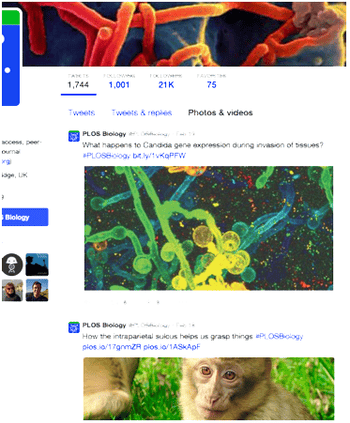 Bring more science to Twitter with Paperpile - Paperpile