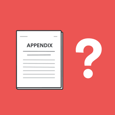 What is an appendix in a paper image
