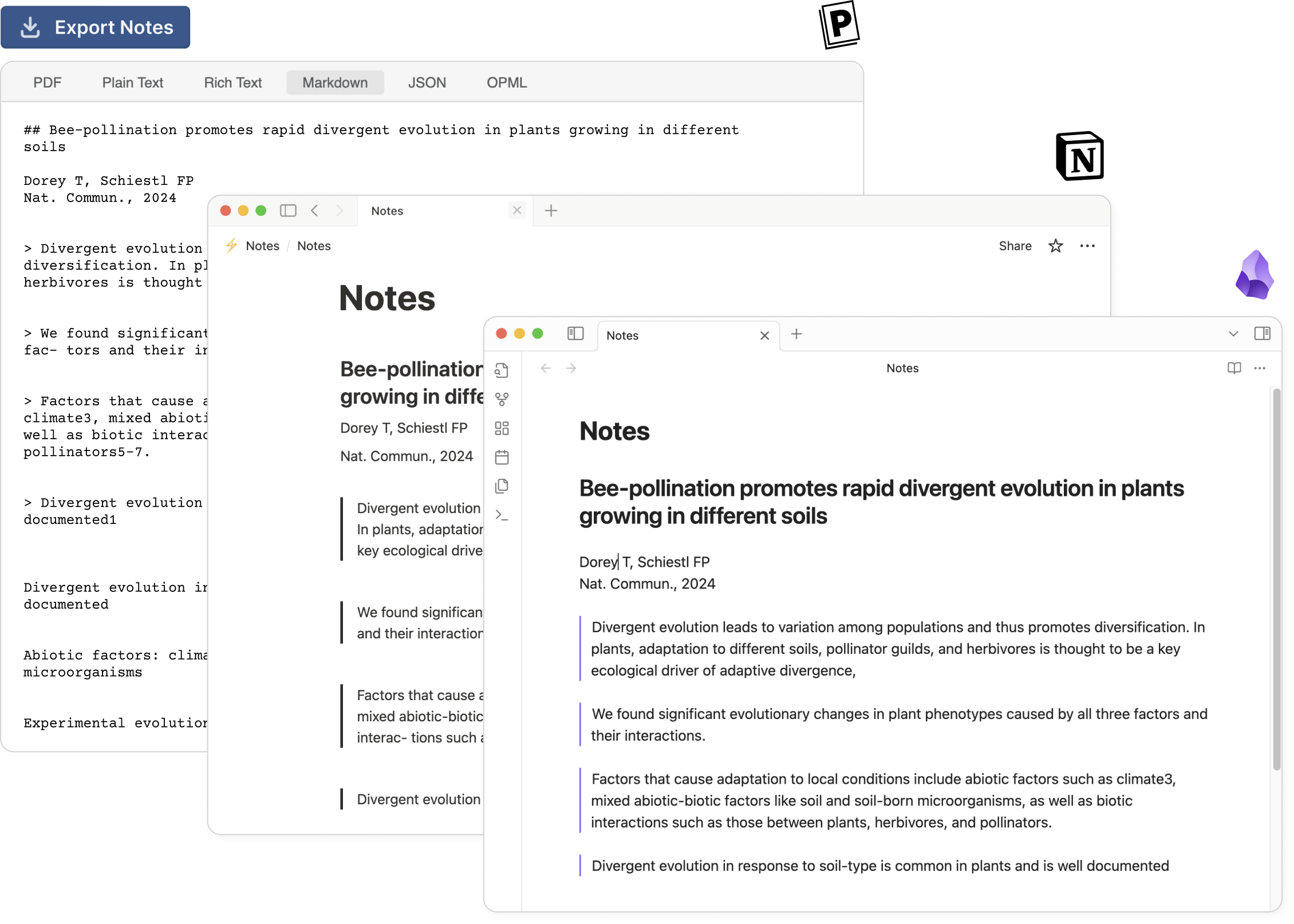Export notes and PDFs